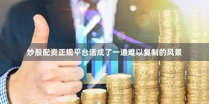 炒股配资正规平台活成了一道难以复制的风景